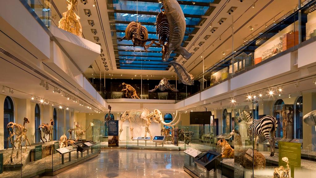 Go City - Los Angeles All-Inclusive Pass - Access to 40+ Attractions - Image 5